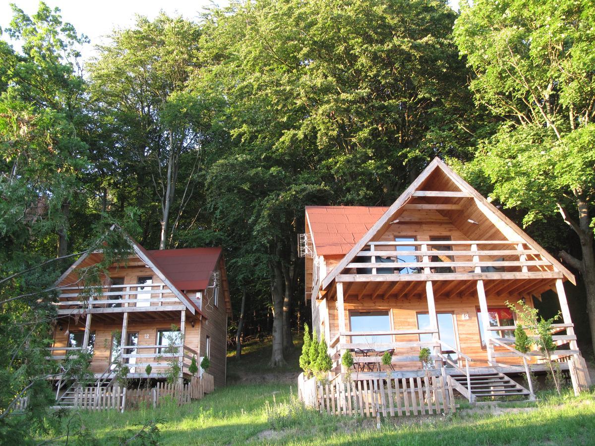 Osrodek Wczasowy Zloty Dab - Domki Hotel เมียนซิดดรอแย ภายนอก รูปภาพ